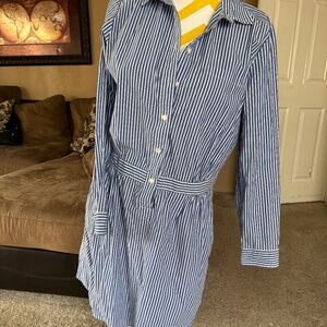 Banana Republic pinstripe shirt dress